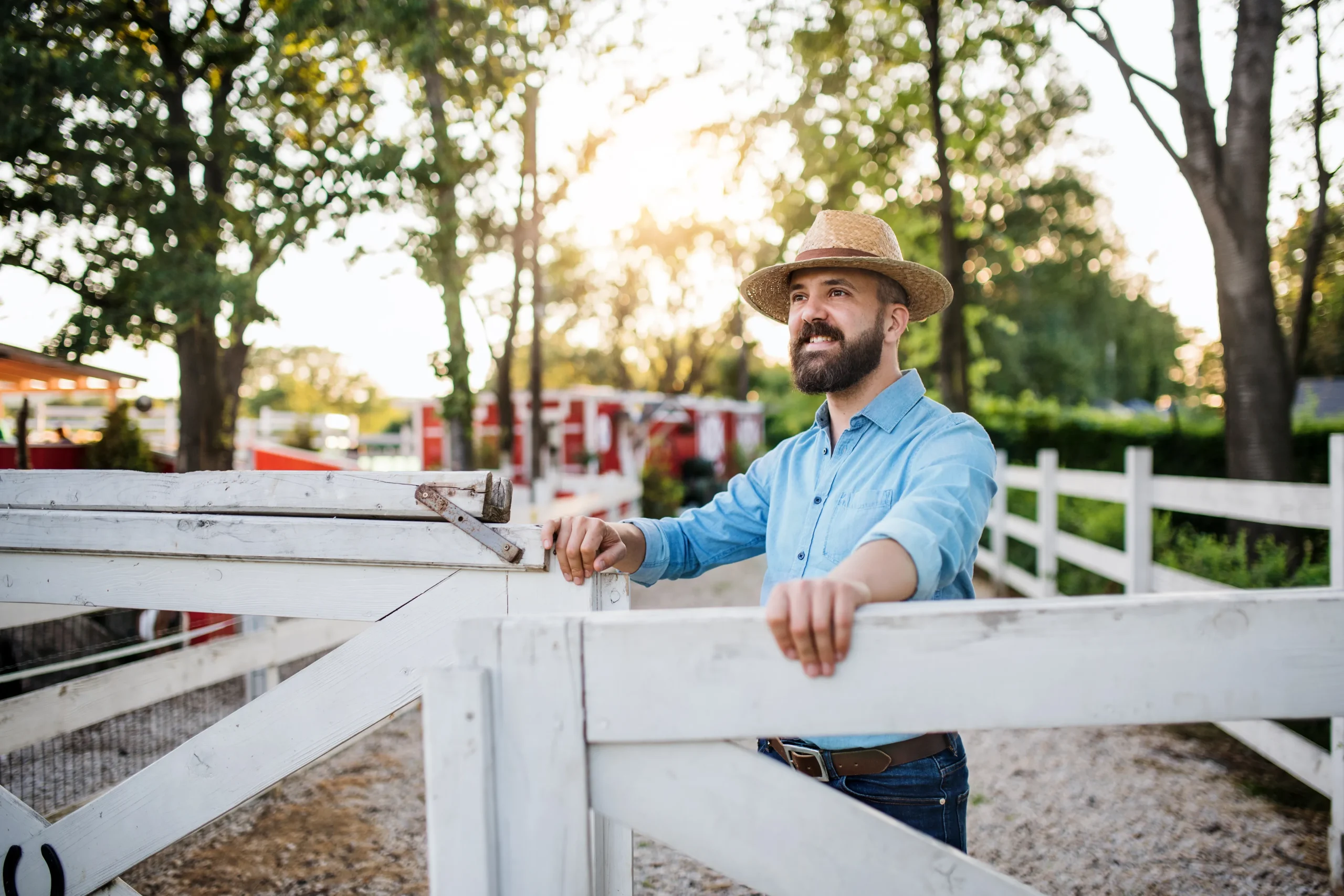 You are currently viewing 5 Must-Have Tools for New Farm Owners