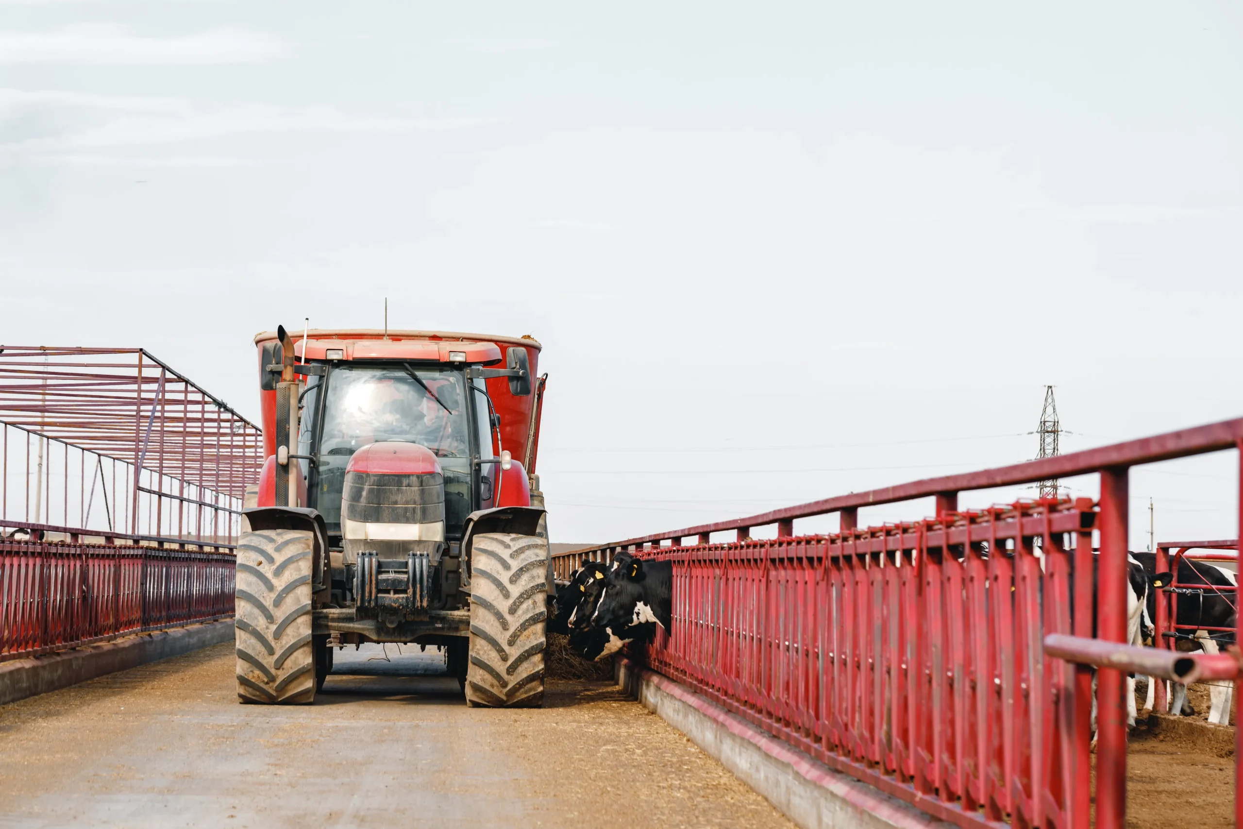 You are currently viewing Proper Maintenance for Your Cattle Chute