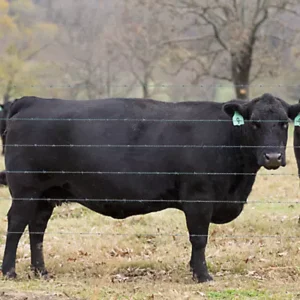 Cattleman Pro 40 Barbwire