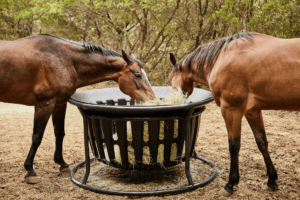 EQUINE HAY BASKET