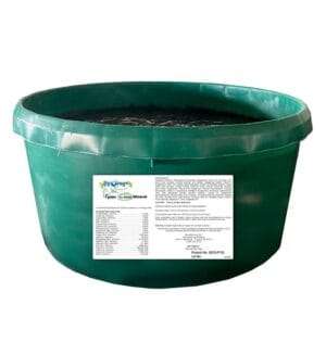 BOR All-Around Equine Mineral Tub + Garlic