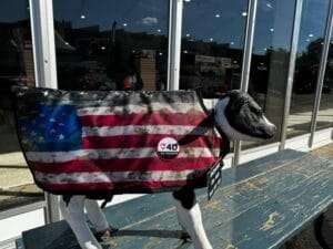 Calf Jacket USA Large