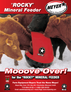 Rocky Mineral Feeder
