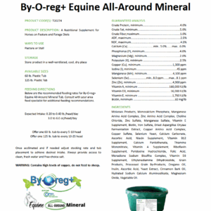 BOR All-Around Equine Mineral Tub + Garlic
