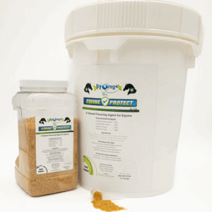 BOR Equine Protect 5lb + Garlic