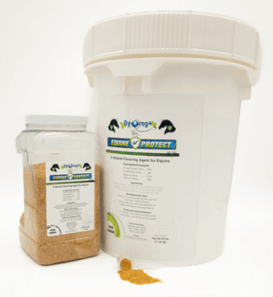 BOR Equine Protect 5lb + Garlic