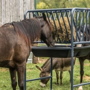 Tarter Adjustable Hay & Grain Feeder