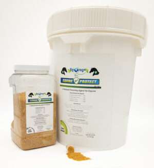 BOR Equine Protect 5lb