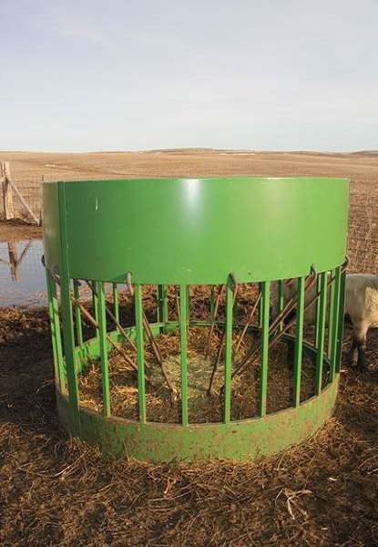 Sheep Hay Manager 7ft - Image 2