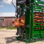Arrowquip Cattle Handling