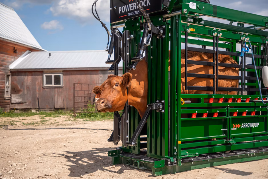 You are currently viewing Upgrade Your Operation with Arrowquip Cattle Handling Systems