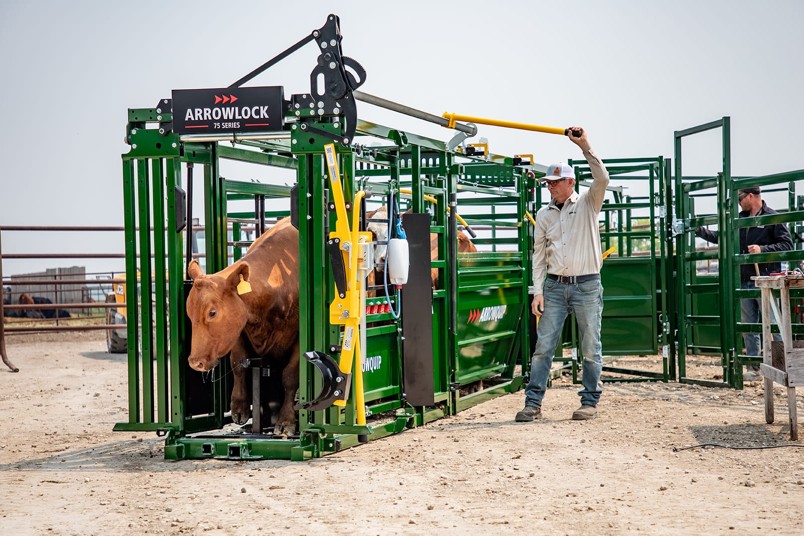 Read more about the article Arrowquip Arrowlock 75 Series Squeeze Cattle Chute