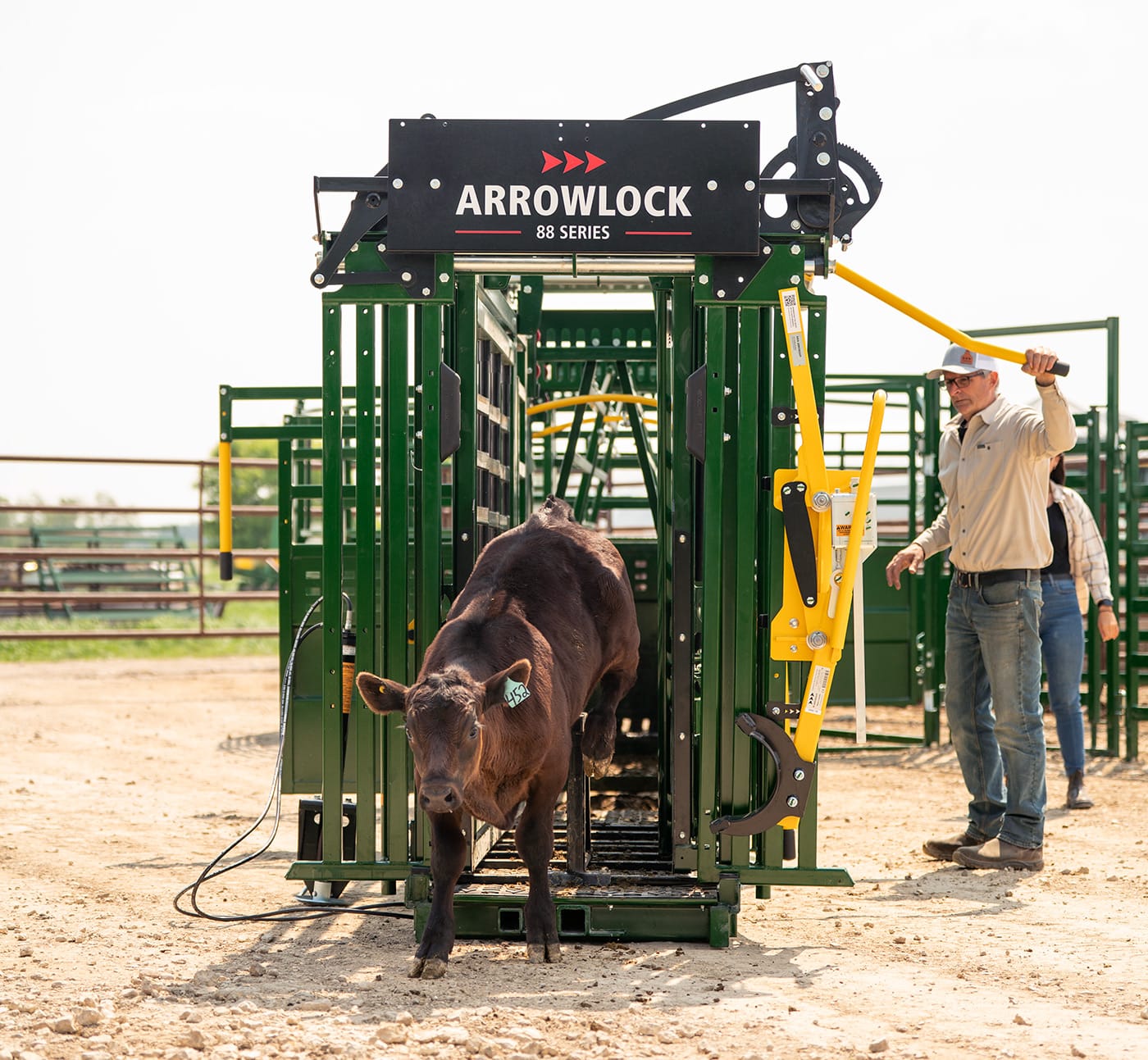 Read more about the article Arrowquip Arrowlock 88 Series Cattle Squeeze Chute