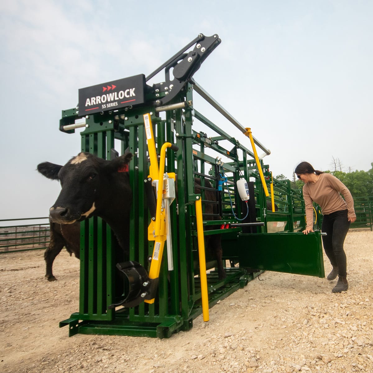 Read more about the article Arrowquip Arrowlock 55 Series Cattle Chute