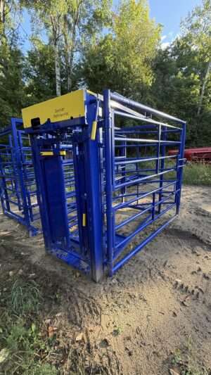 Spanier Blue Maternity Pen