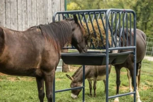 Adjustable Hay And Grain Feeder