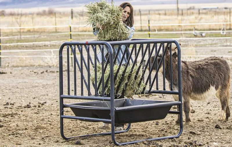 Adjustable Hay And Grain Feeder - Image 6