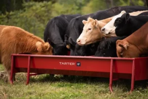 Titan Grain & Silage Feeder
