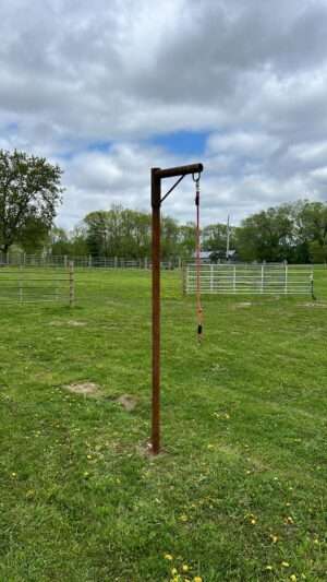 Super Duty Patience Pole