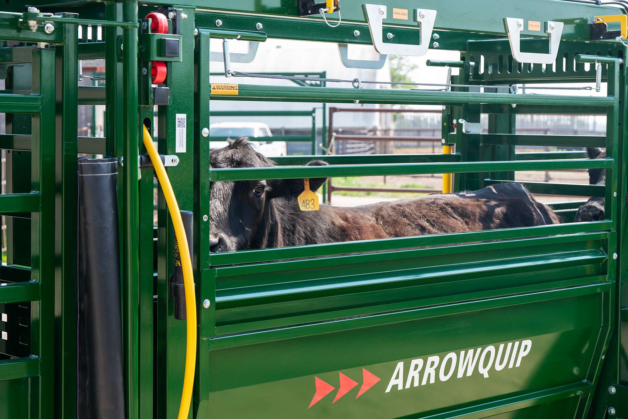 You are currently viewing Why Cattle Alleyways Matter As Much As the Chute Itself