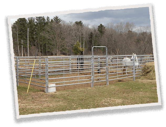 Horse gates