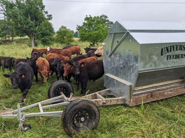 Ultimate Sheep and Goat Feeder From Universal Feeders - Image 15