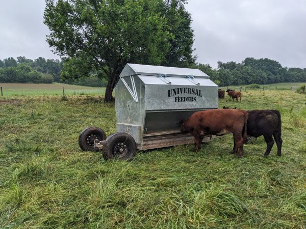 Ultimate Sheep and Goat Feeder From Universal Feeders - Image 12