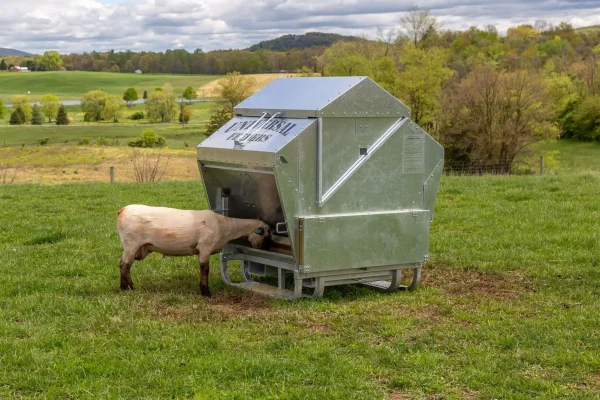 Ultimate Sheep and Goat Feeder From Universal Feeders - Image 7